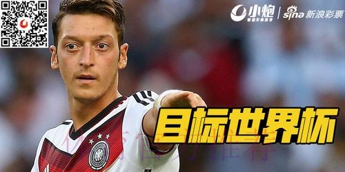 世界杯大小球盘路深度分析与投注技巧